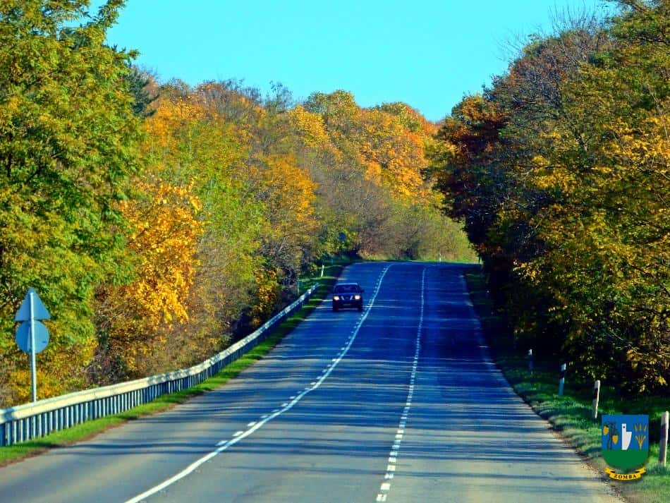 2016. Ősz
