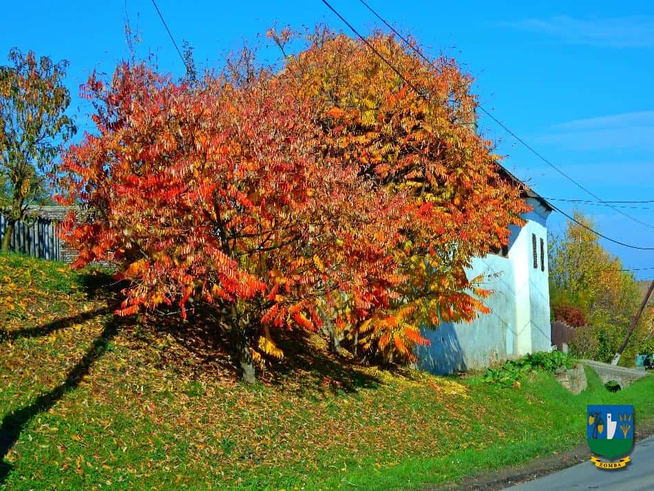2016. Ősz