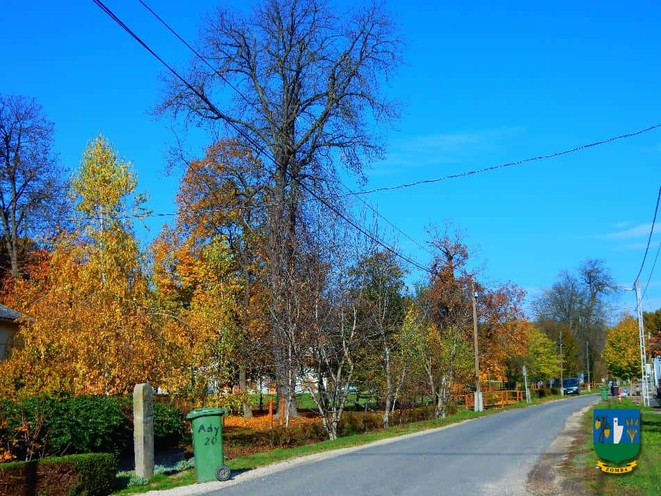 2016. Ősz