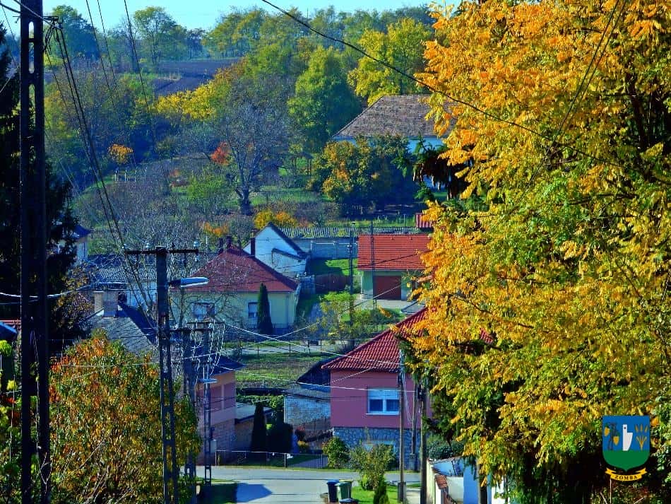 2016. Ősz
