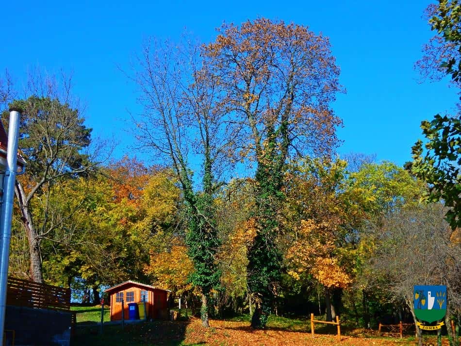 2016. Ősz