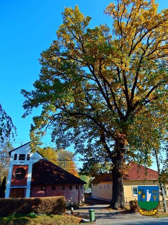 2016. Ősz
