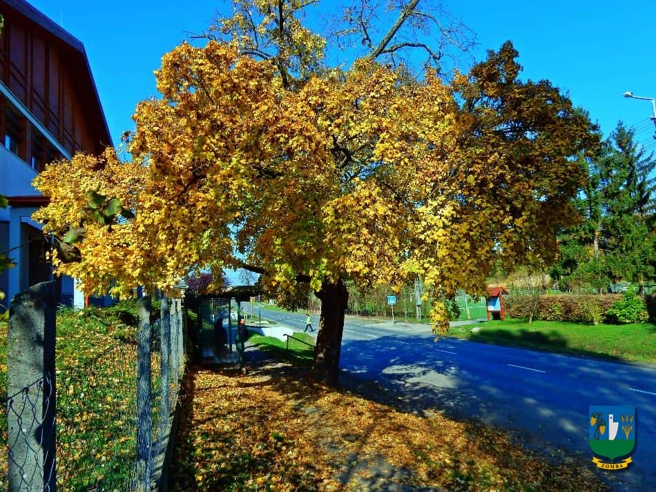 2016. Ősz