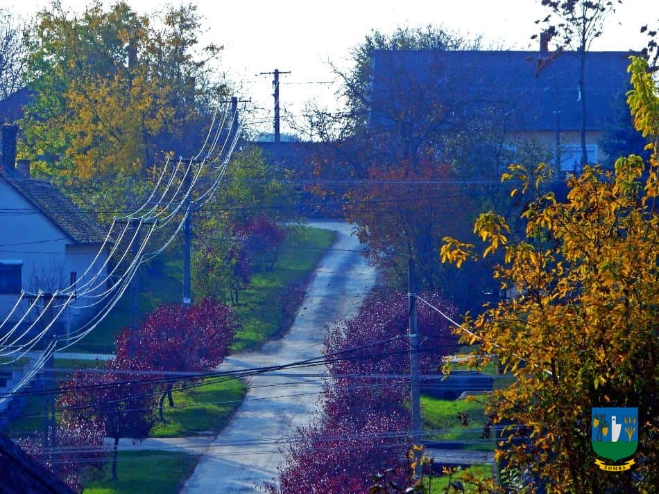 2016. Ősz