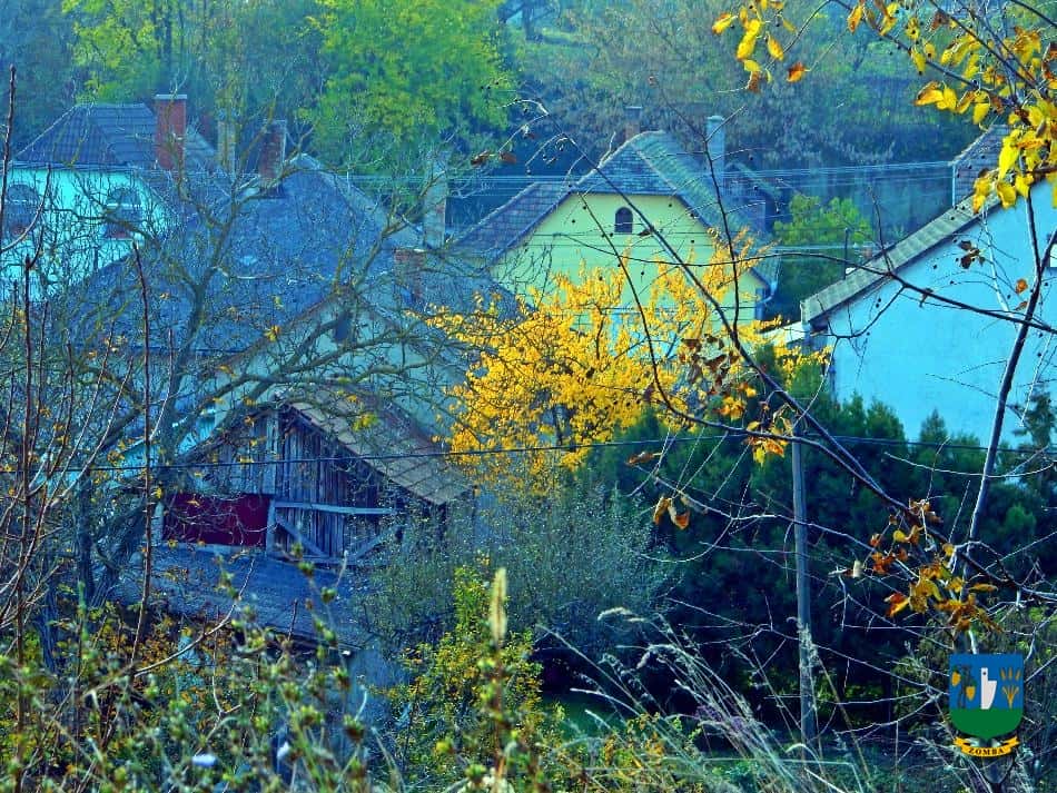 2016. Ősz