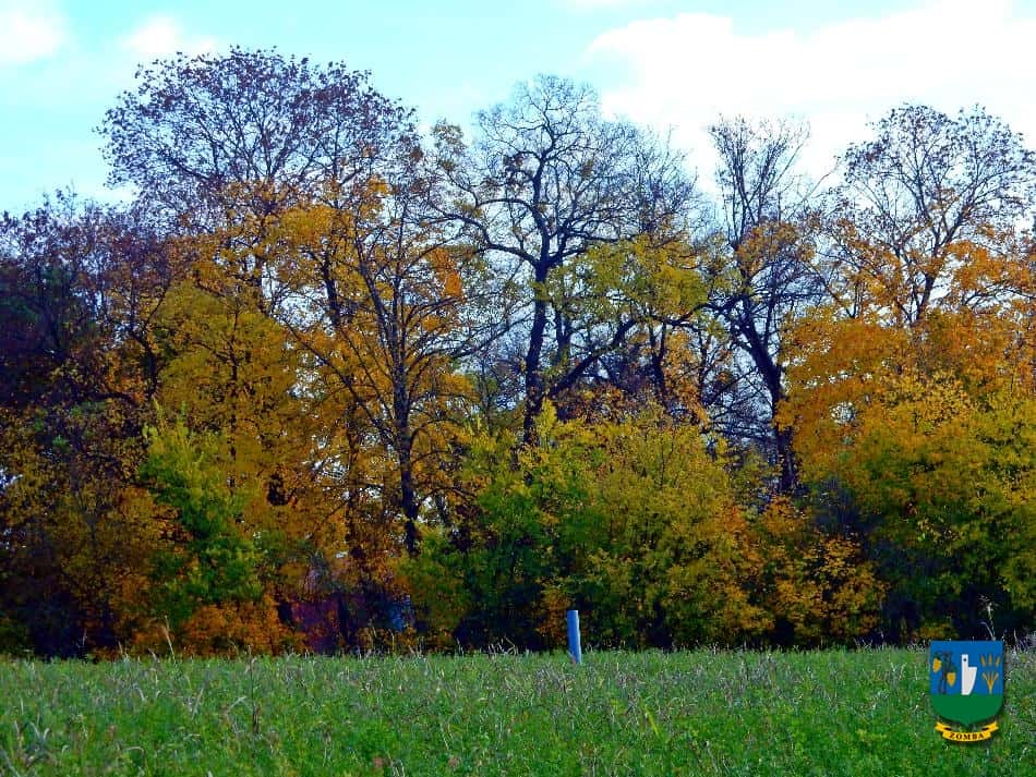 2016. Ősz