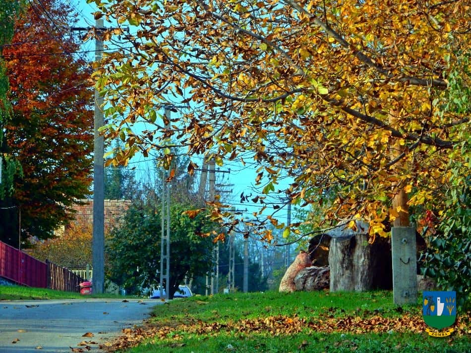 2016. Ősz
