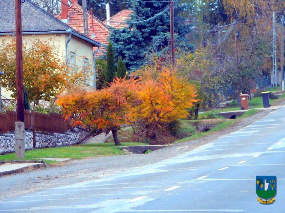 2016. Ősz