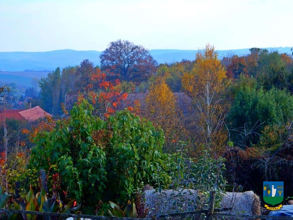 2016. Ősz
