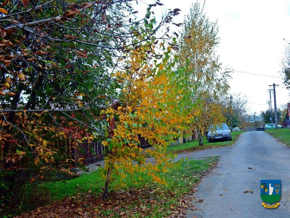 2016. Ősz