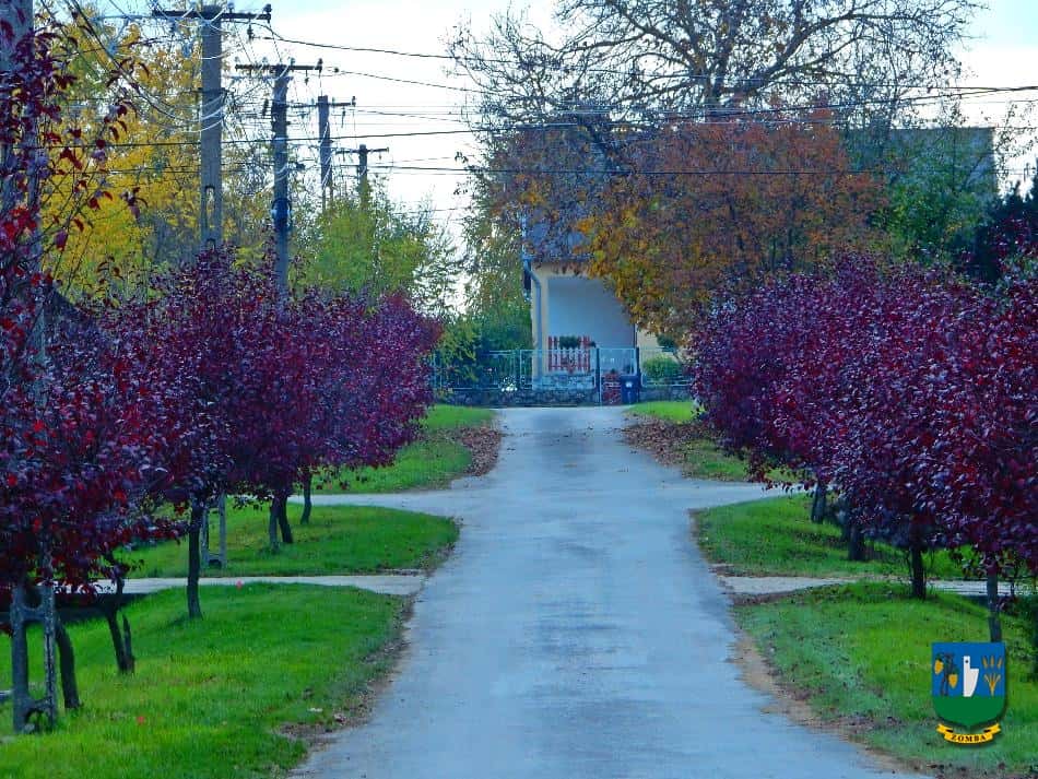 2016. Ősz