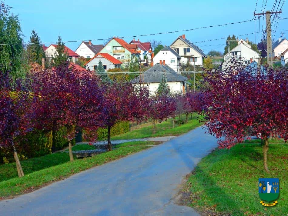 2016. Ősz