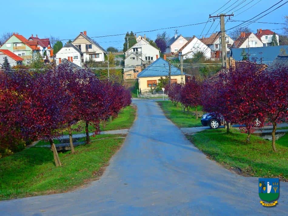 2016. Ősz