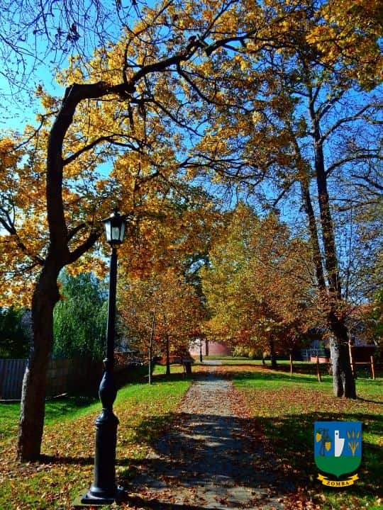 2016. Ősz