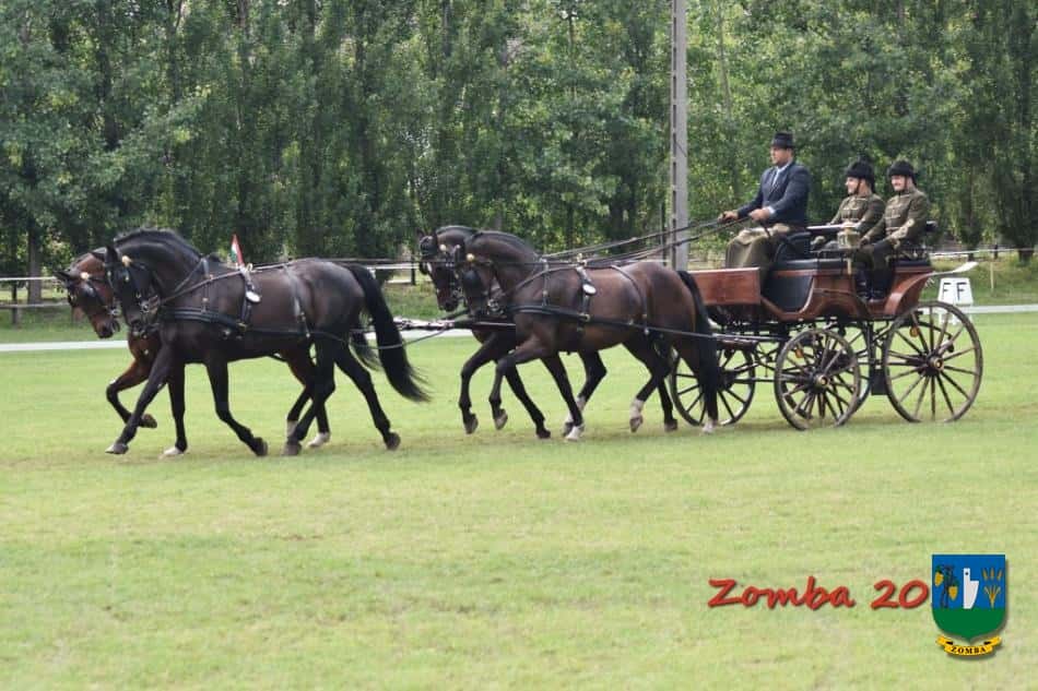 2018. június 29 - július 1. Lovasnapok