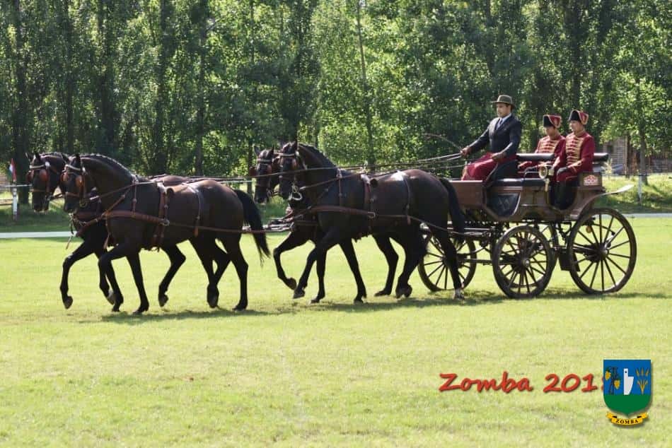 2018. június 29 - július 1. Lovasnapok