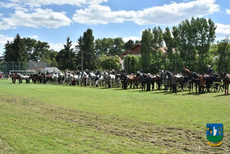 2018. június 29 - július 1. Lovasnapok