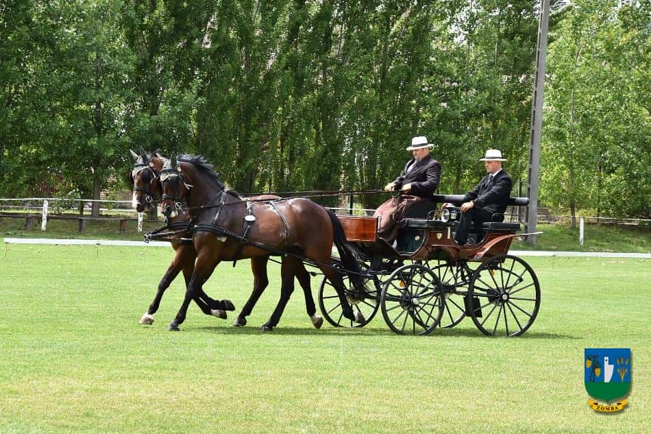 2017. Lovasnapok