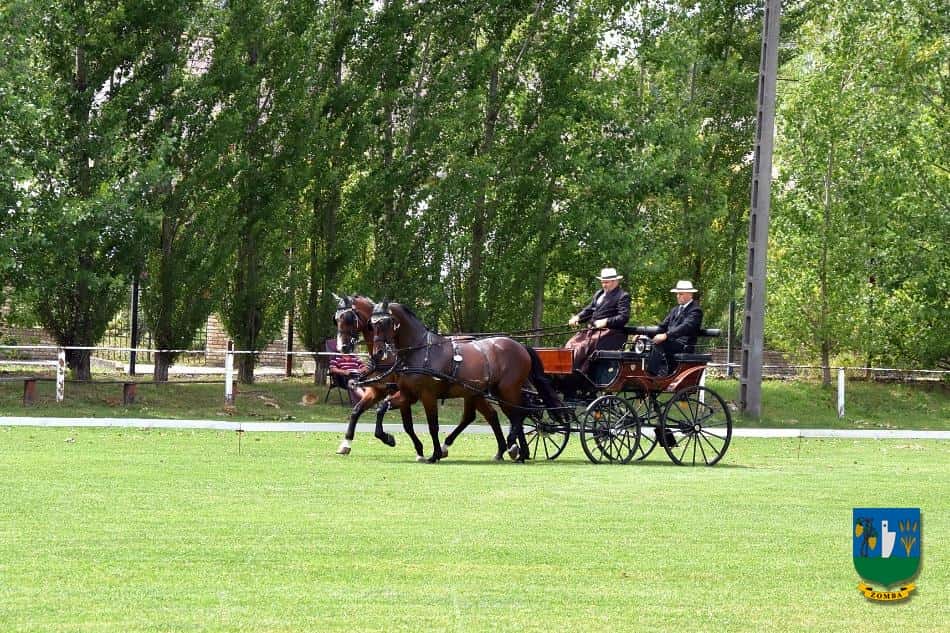 2017. Lovasnapok