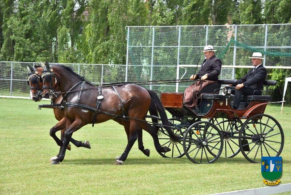 2017. Lovasnapok