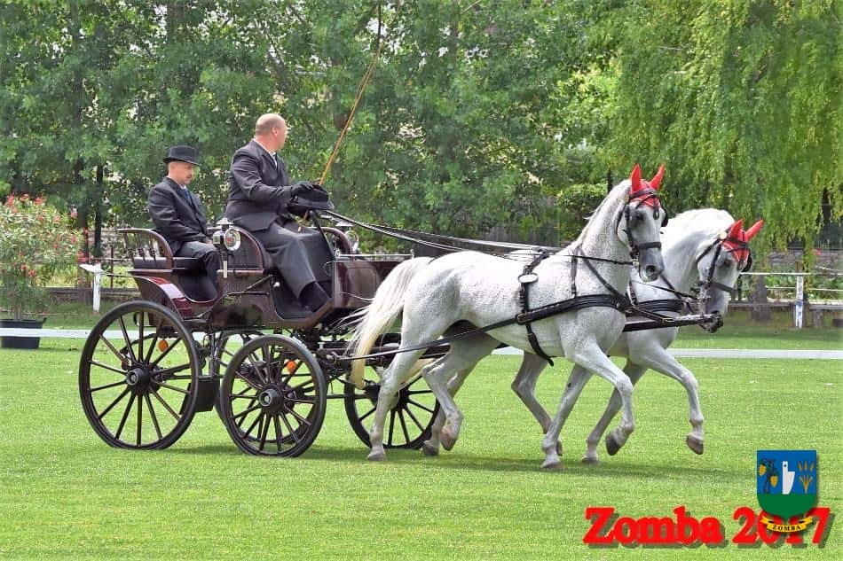 2017. Lovasnapok