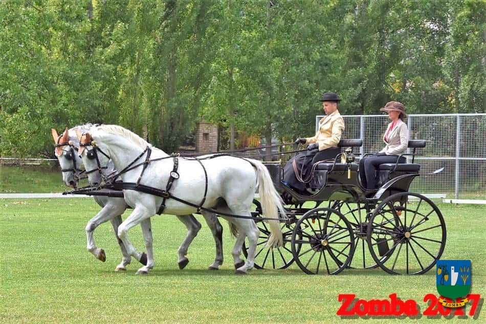 2017. Lovasnapok