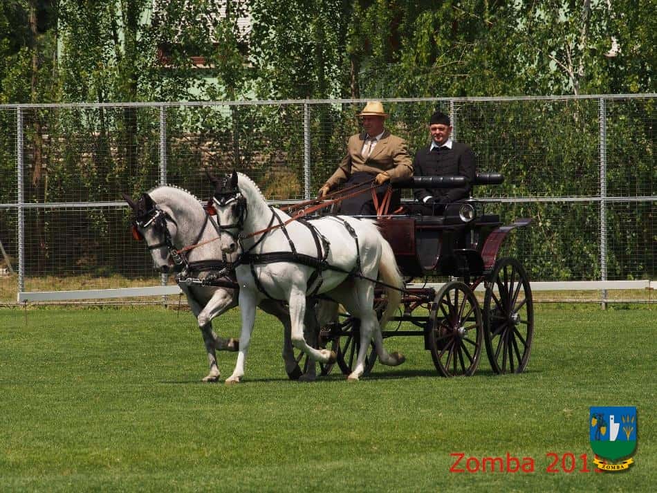2015. Lovasnapok