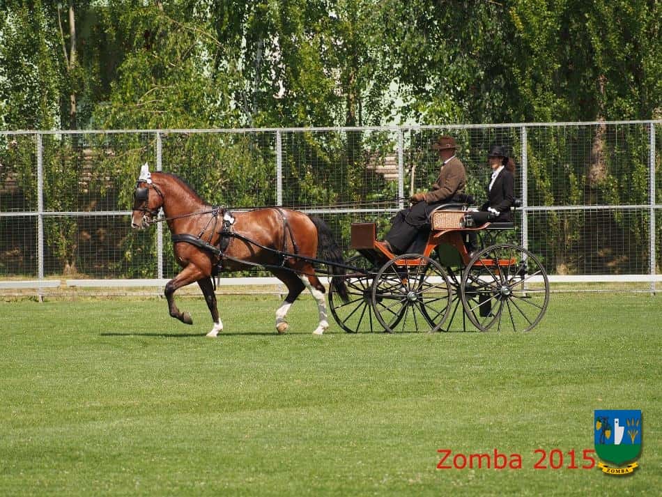 2015. Lovasnapok