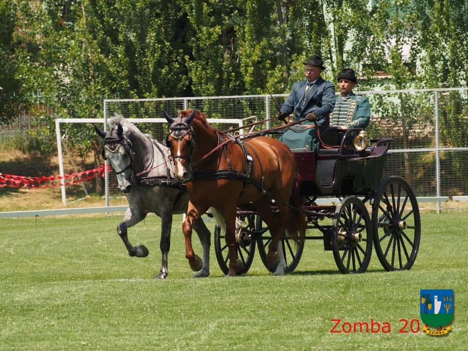 2015. Lovasnapok