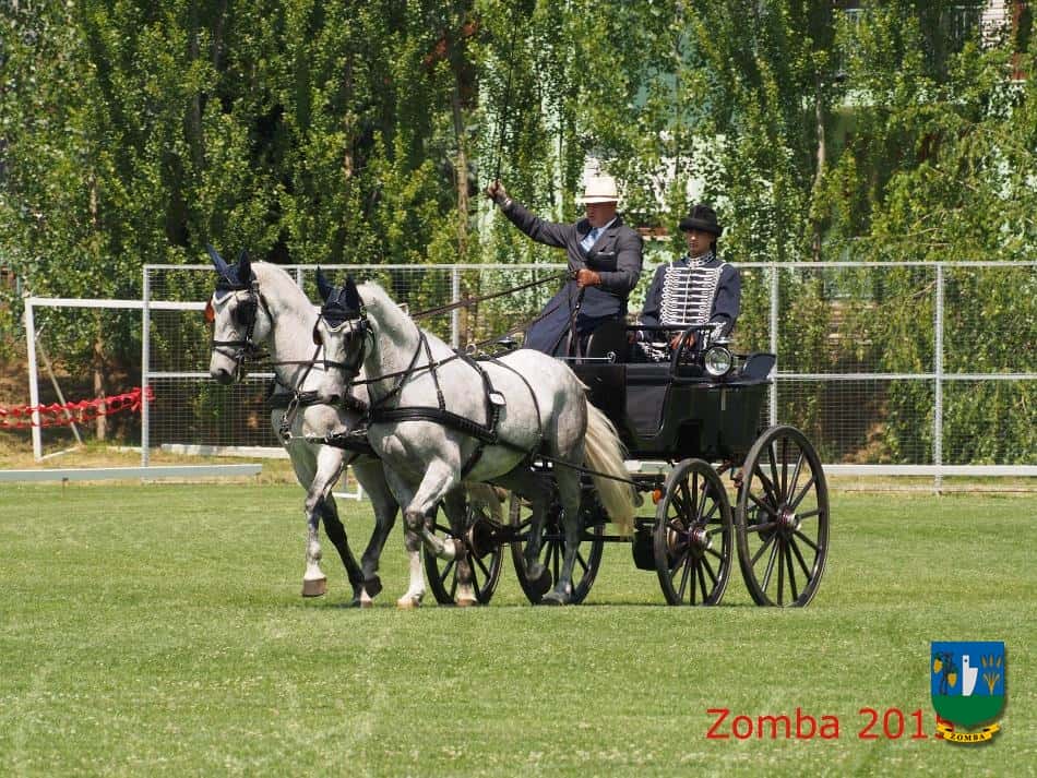 2015. Lovasnapok
