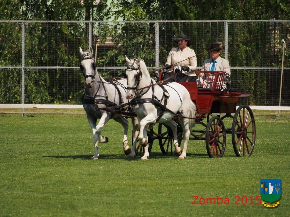 2015. Lovasnapok