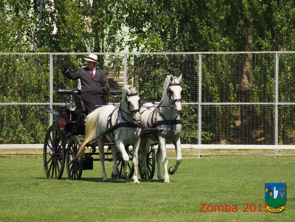 2015. Lovasnapok