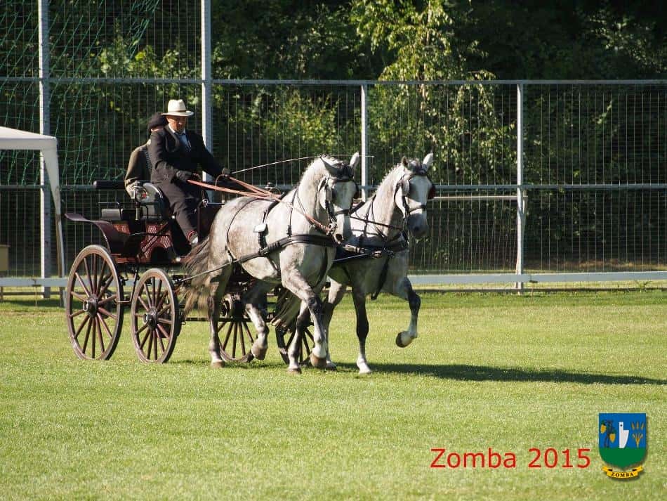 2015. Lovasnapok