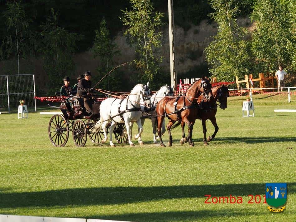 2015. Lovasnapok
