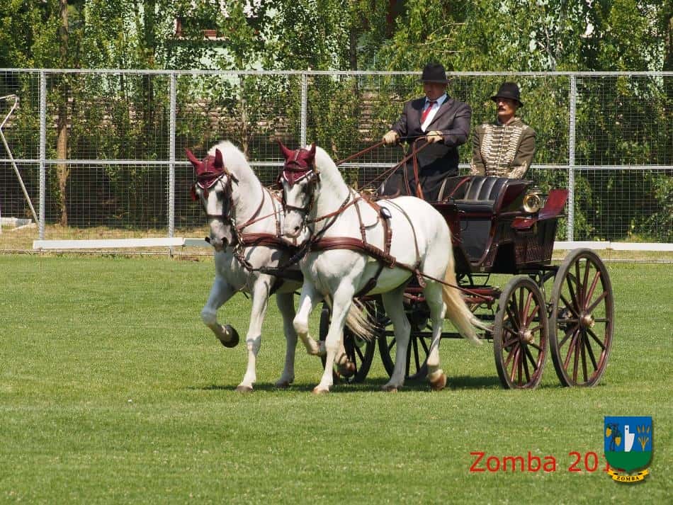 2015. Lovasnapok