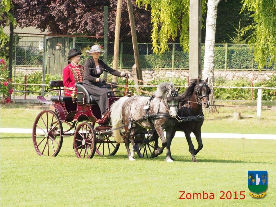 2015. Lovasnapok