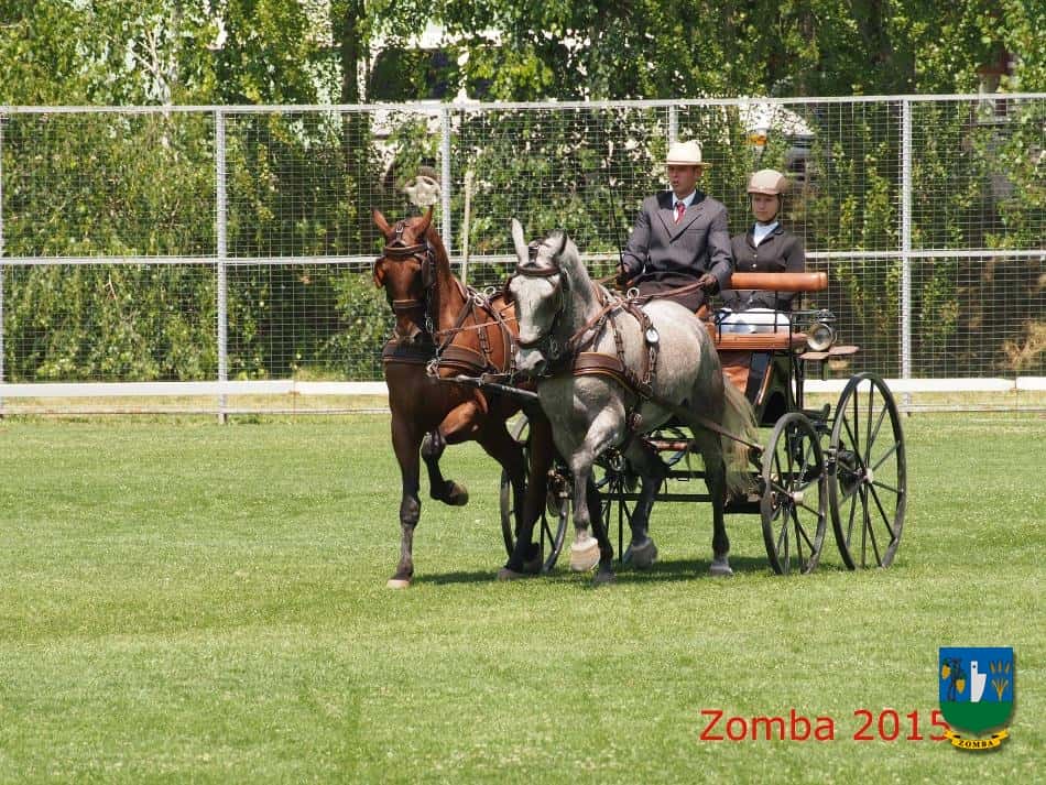 2015. Lovasnapok