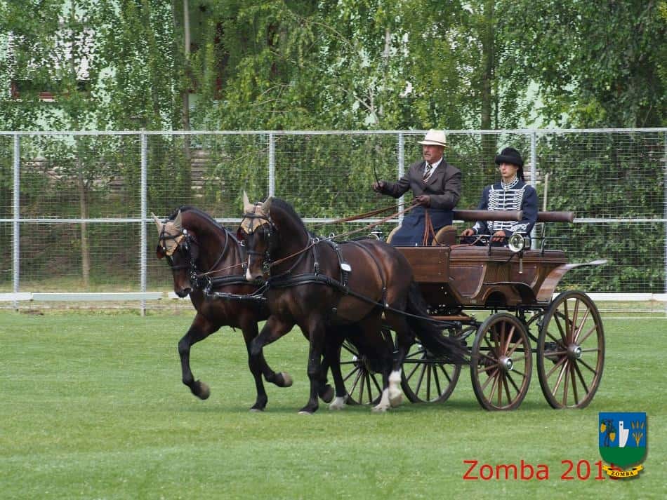 2015. Lovasnapok