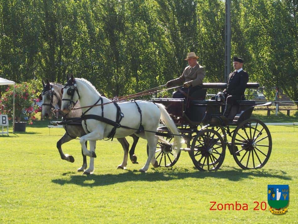 2015. Lovasnapok