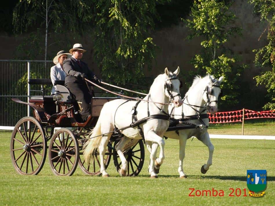 2015. Lovasnapok