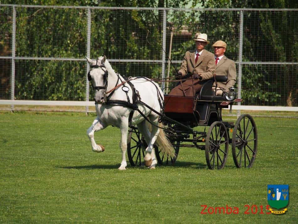 2015. Lovasnapok