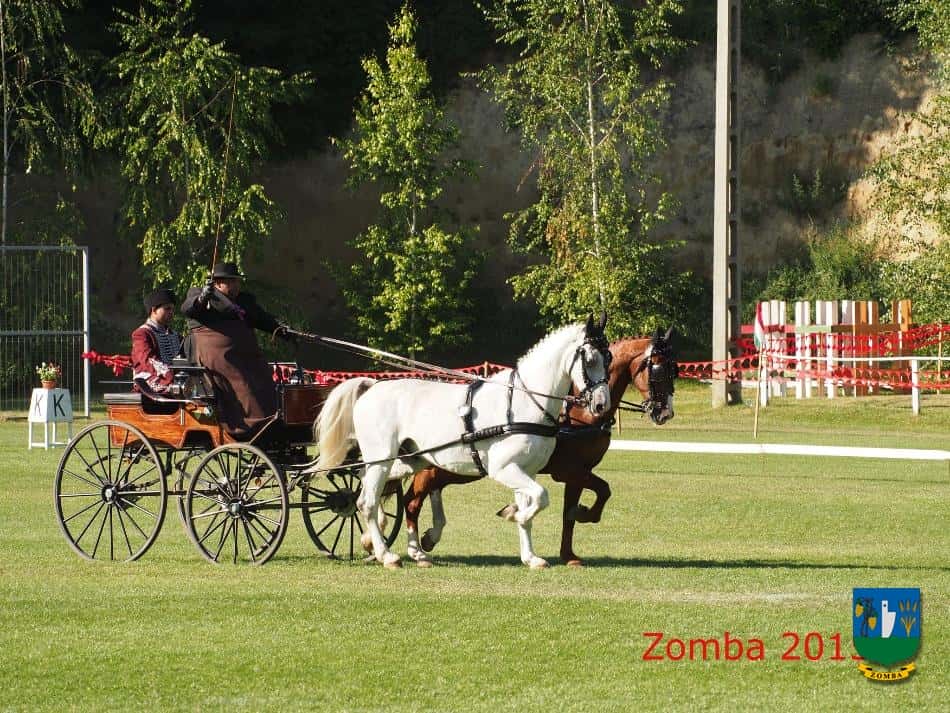 2015. Lovasnapok