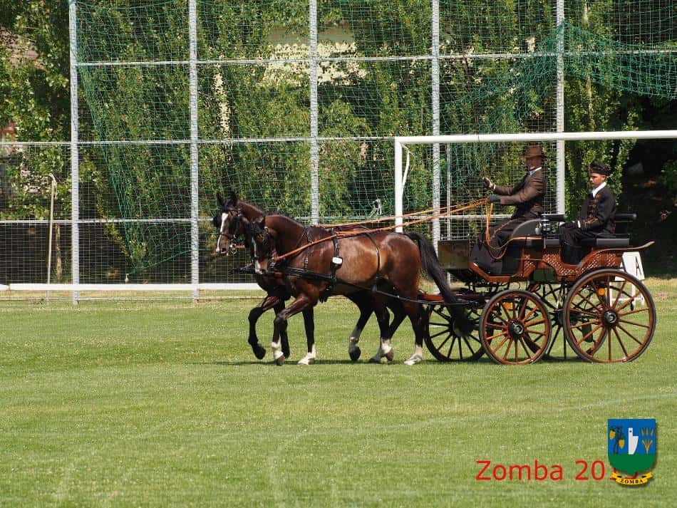 2015. Lovasnapok