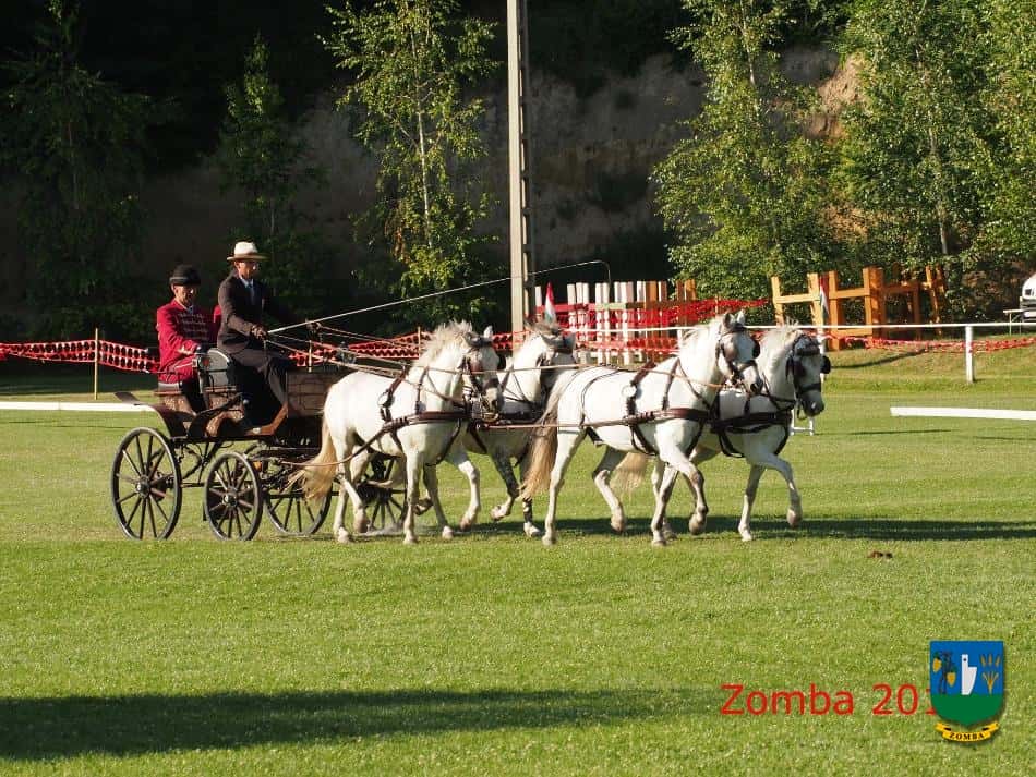 2015. Lovasnapok