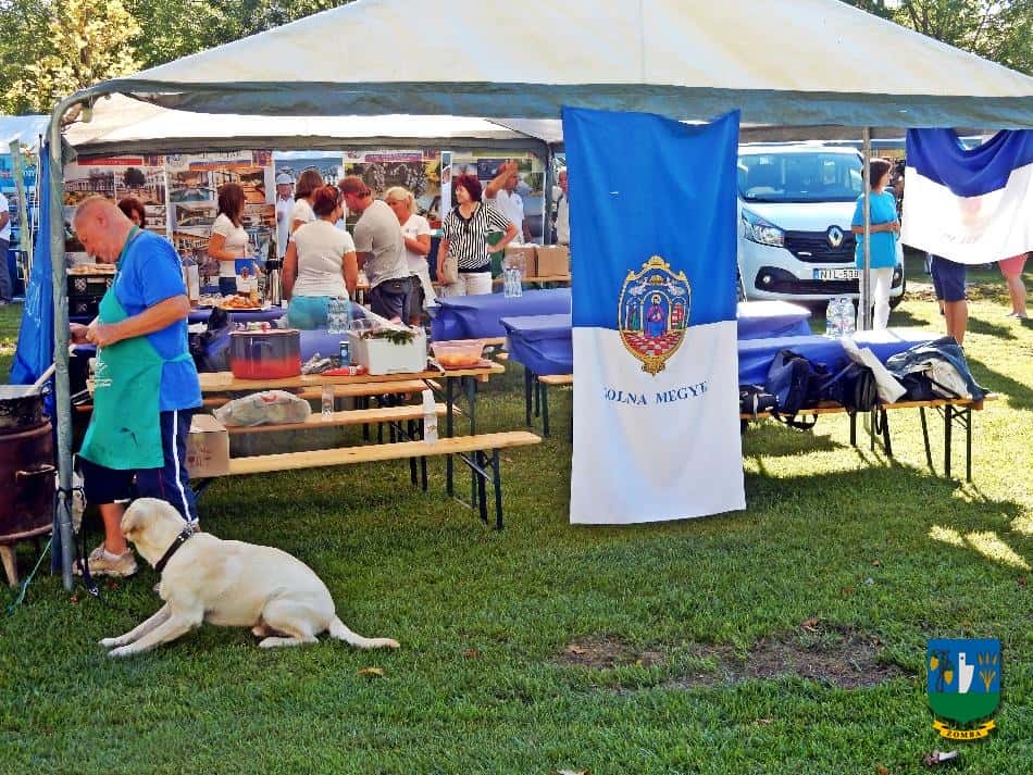 2016. augusztus 26. Megyenap