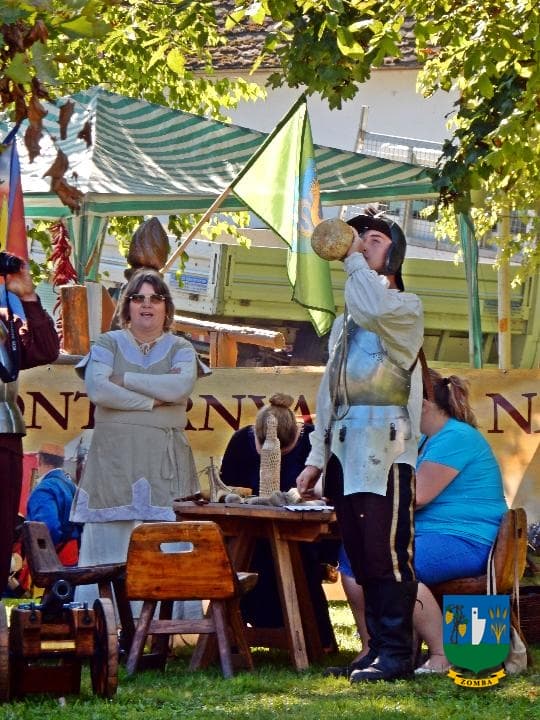 2016. augusztus 26. Megyenap