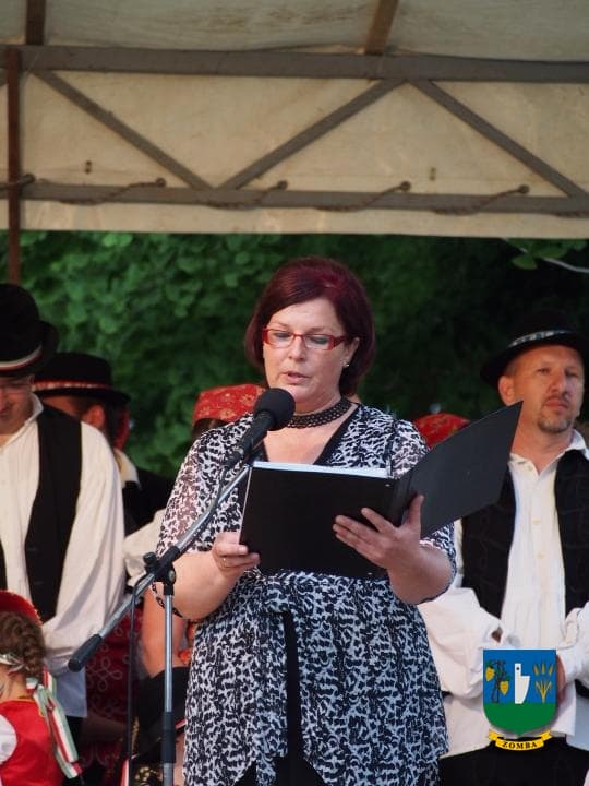 2015. Falunap