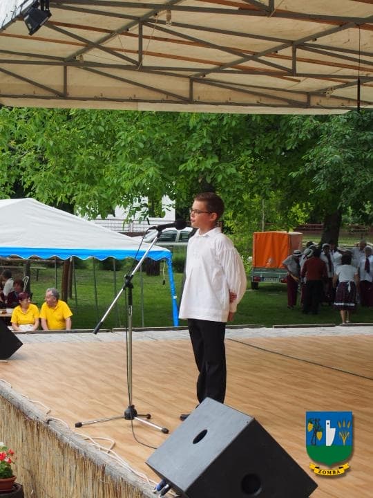 2015. Falunap
