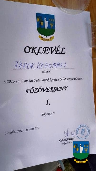 2015. Falunap