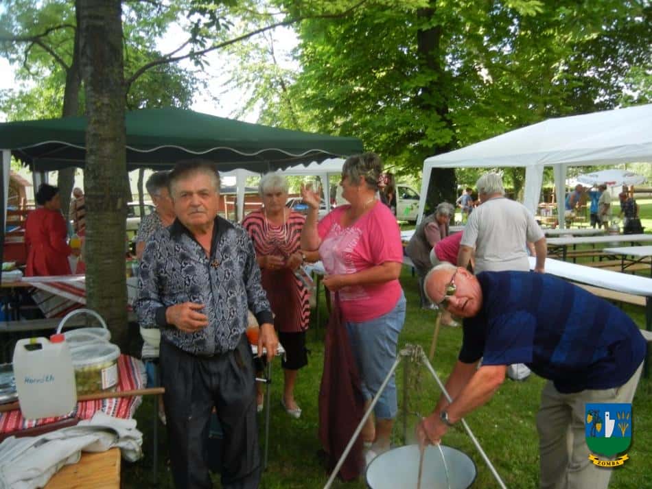 2015. Falunap